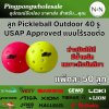 pickleball-btop-seamless