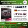 ยางปิงปอง GEWO CODEXX EF Pro 54 - พลังบุกเต็มพิกัด